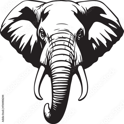 elephant vector illustration