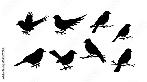 Diverse collection of bird silhouettes featuring various species in dynamic poses, from perching on twigs to graceful flight, ideal for graphic design projects and nature-themed branding