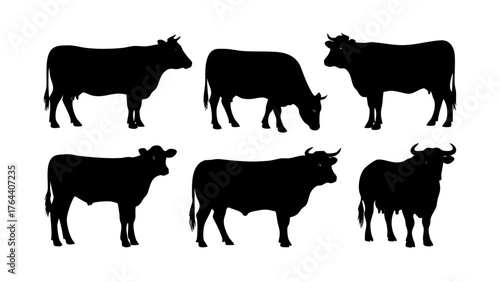 Vector silhouettes of farm cattle, including cows and bulls, for agriculture, livestock, and food industry design projects