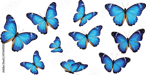Blue butterfly collection flying in air, vibrant wing patterns, nature insect wildlife, decorative design element, spring summer theme, vector illustration, scrapbook clipart, wedding invitation motif
