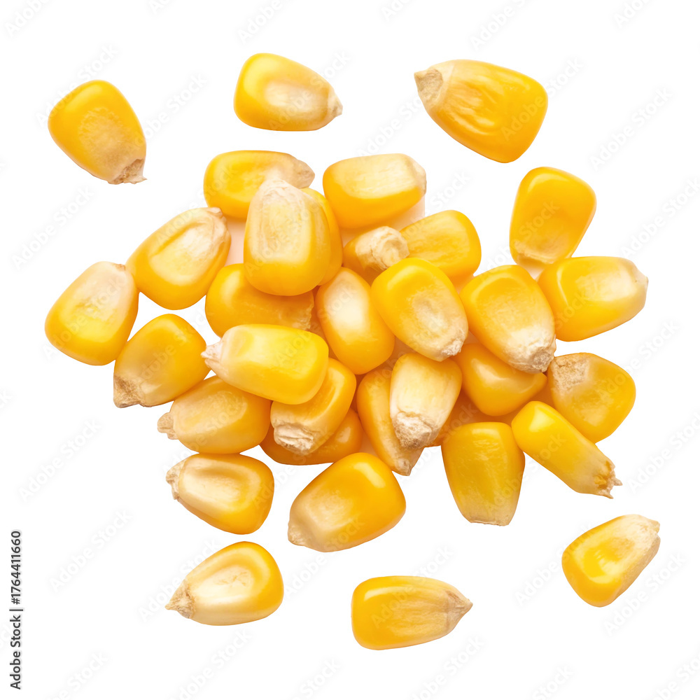 Fototapeta premium Fresh several vibrant yellow corn kernels or maize seeds scattered isolated on transparent background