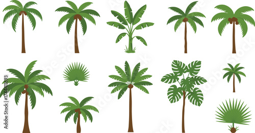 Cartoon tropical plants and trees including palms, bananas, and foliage, botanical comparison illustration, white background, landscaping and nature design