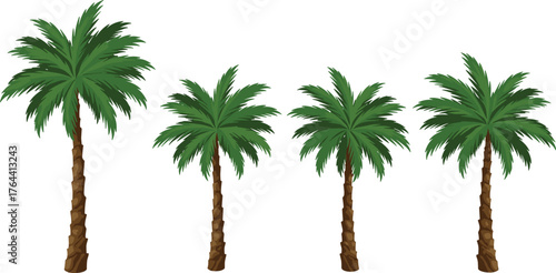 Palm tree illustration set, tropical tree row, green frond vector, nature clipart, beach foliage design, landscape element, summer art