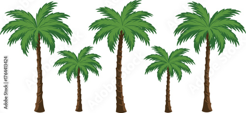Cartoon palm tree set, tropical tree illustration, green frond vector, beach vegetation graphic, playful nature art, summer clipart