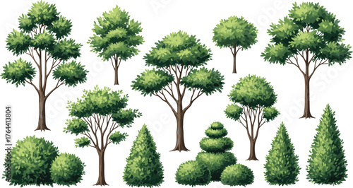 Tree and shrub collection, stylized botanical illustration, diverse plant forms, landscape design elements, nature vector art, foliage graphic, garden trees