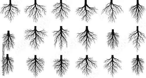 Branching tree grid, black silhouette pattern, abstract root design, neural network art, fractal structure, nature symmetry, scientific vector illustration