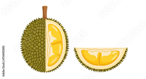 Durian fruit halves and segments isolated against white background