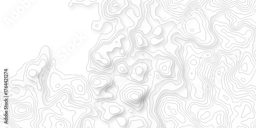 Abstract background with a wave grid map and topography map and seamless pattern with lines White wave paper curved reliefs abstract background, Abstract topographic contours map background.	