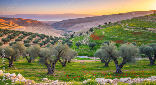 Vibrant green landscape with rolling hills, abundant olive trees, colorful wildflowers, and a distant valley under a golden sunset sky, showcasing nature's beauty and tranquility.