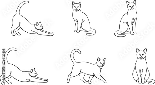 Minimalist line art illustration of cats in different poses, stretching sitting walking playful feline design vector