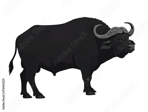  African Buffalo in silhouette white background.