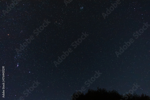 Starry Night Sky with Constellation of Orion and Tree Silhouette on Horizon