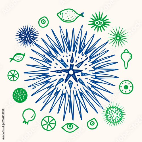 Stylized Marine Life Circle Illustration with Sea Urchin and Abstract Elements