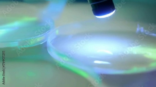 Microscopic Analysis of Luminescent Culture | Lab Research with Fluorescent Samples | Scientific Observation Under Microscope