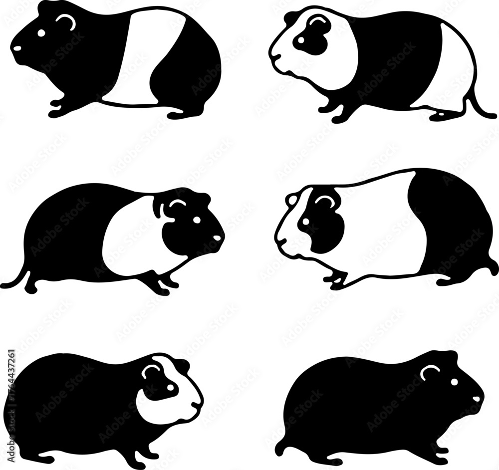 Obraz premium Cute Guinea Pig Pet Animal Set Silhouettes