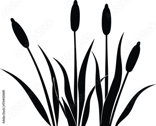 Cattail reed design element vector