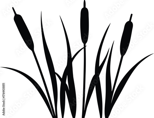 Cattail plant vector icon
