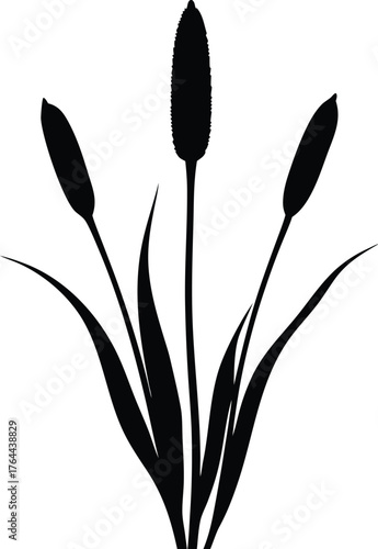 Cattail silhouette vector illustration