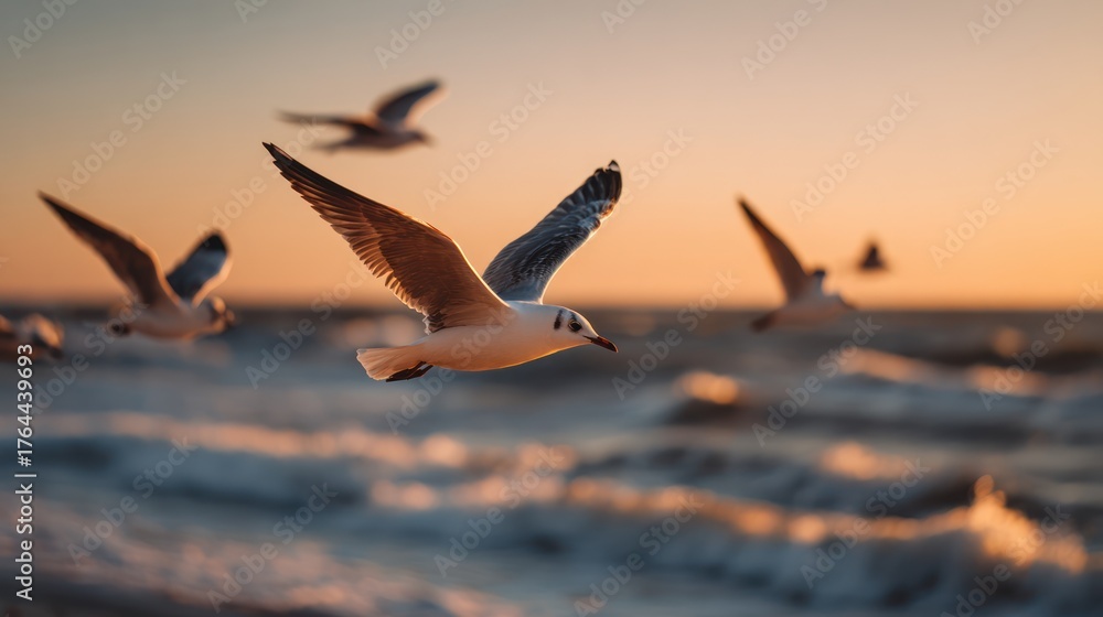 Fototapeta premium Seagulls Flying Above Ocean Waves at Sunset