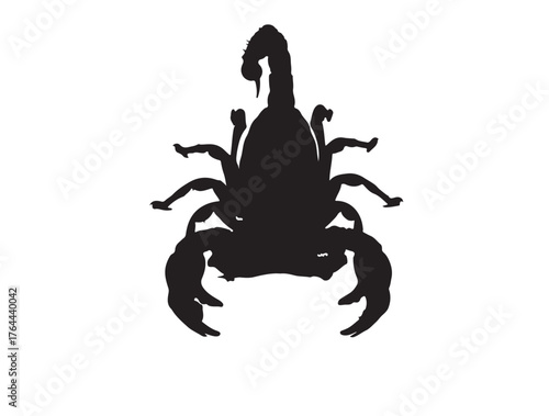 Scorpion top view in silhouette white background.