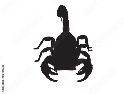 South African Thick-Tailed Scorpion icon top view in silhouette white background. with out reflect.