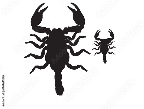 Tanzanian Red Claw Scorpion icon top view in silhouette white background.
