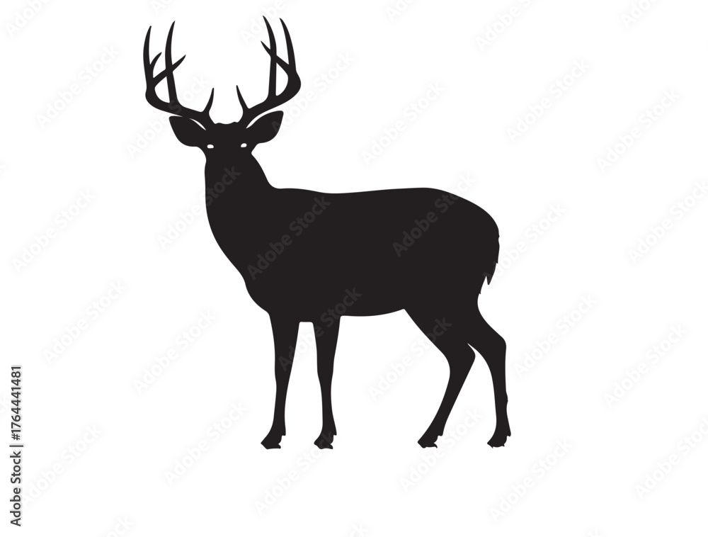 Fototapeta premium White-tailed Deer in silhouette white background.