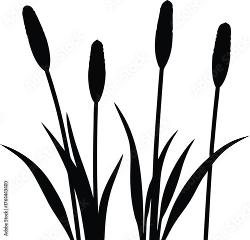 Simple cattail icon isolated graphic