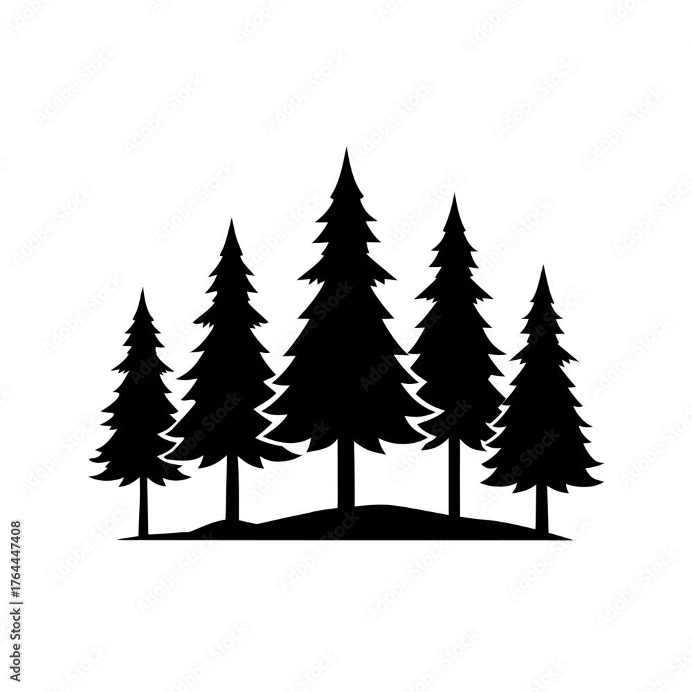 Obraz premium Forest of pine trees row silhouette