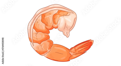 Close-up illustration of a cooked shrimp, showing its curved body and orange color.
