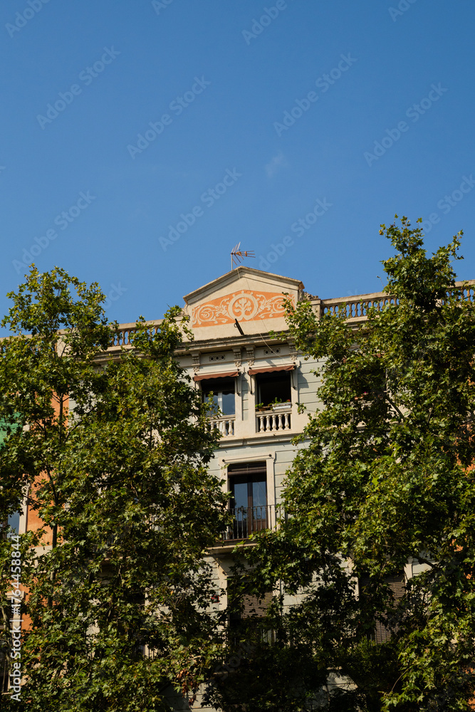 Fototapeta premium Historic European building facade framed by green trees under blue sky vertical