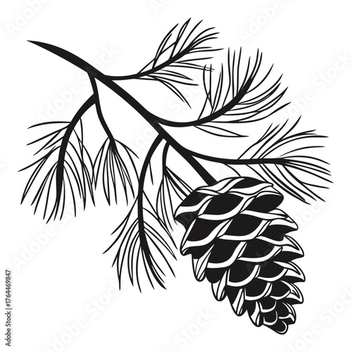 Black and white illustration of a pine cone hanging from a pine branch with needles on a white background