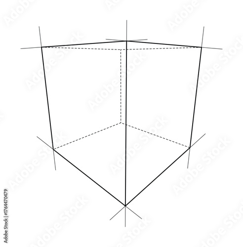 Geometric Perspective Lines