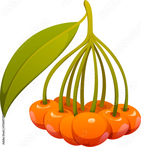 Cartoon autumn rowan berries bunch with green leaf. Isolated vector vibrant ripe autumnal plant captures essence of fall season with its warm orange color, evoking feelings of harvest and coziness