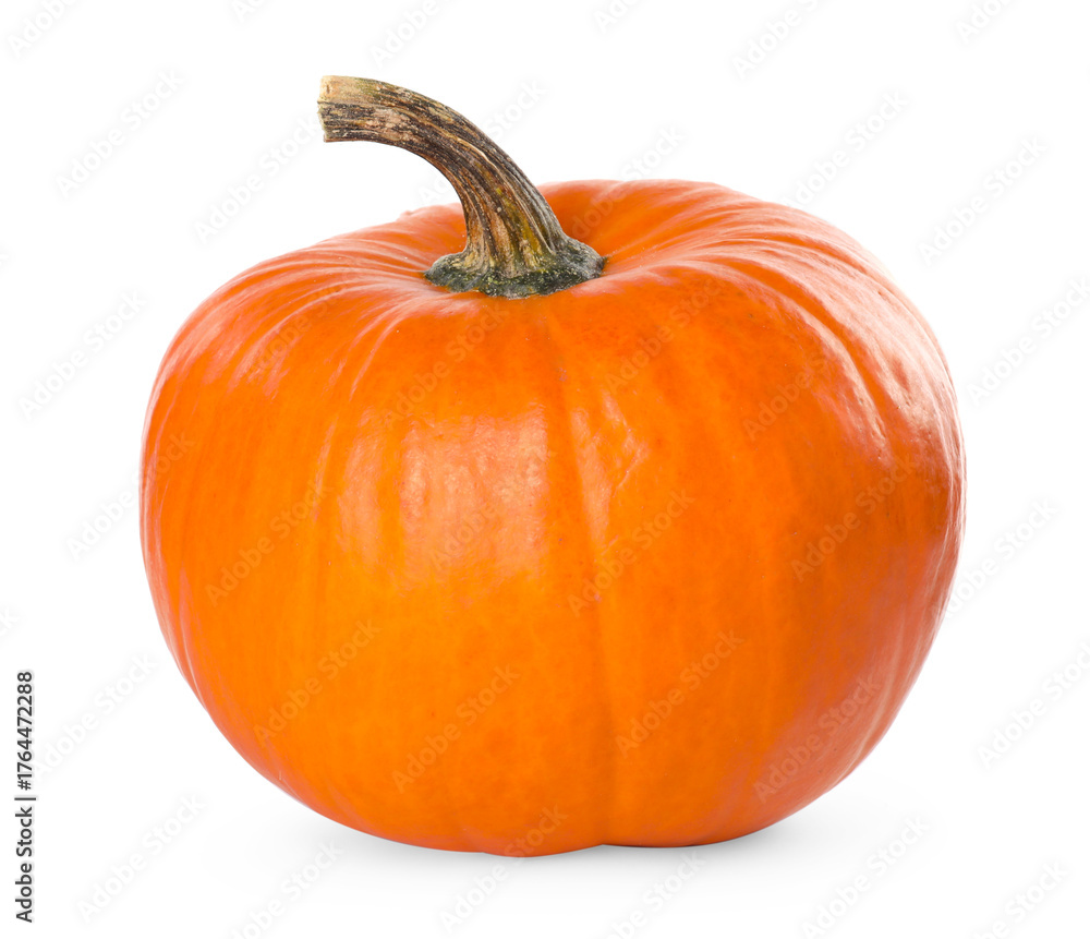 Obraz premium One whole ripe pumpkin isolated on white