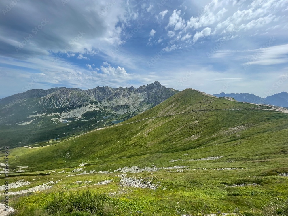 Fototapeta premium mountain landscape in summer