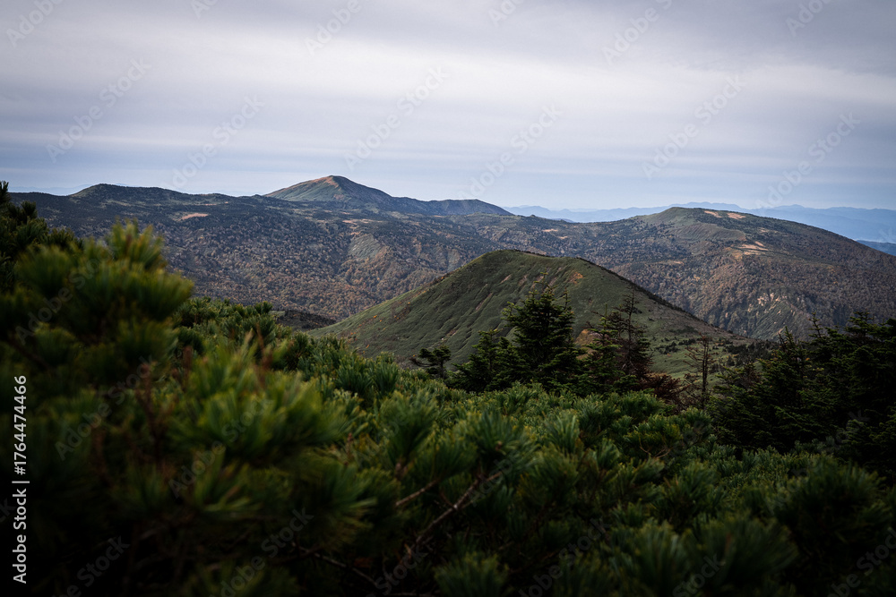 Fototapeta premium Distant Mountain Range Including Mount Kushigamine, Viewed Over Foreground Pines and Evergreens on Mount Hakkoda in Late Autumn (Aomori)