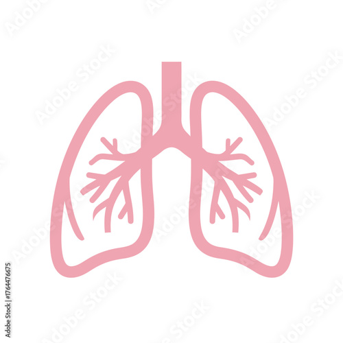 Human lungs simple icon for healthcare and anatomy concepts with bronchioles