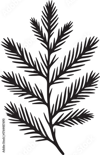 Pine or Fir Tree Branch Silhouette for Christmas and Winter Design
