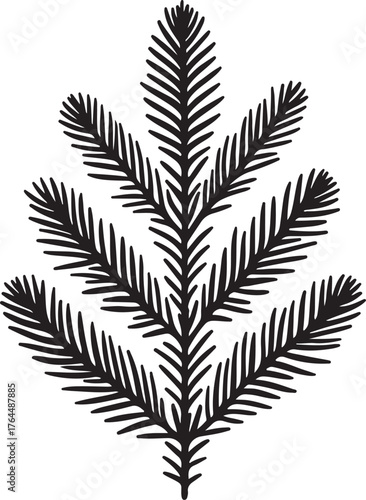 Pine or Fir Tree Branch Silhouette for Christmas and Winter Design