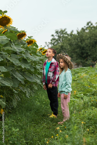 the older brother stands with his younger sister and looks up at the yellow flowers, showing them to his sister