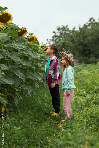 A boy in a plaid shirt and a girl in a straw hat are looking at sunflowers growing in the garden.