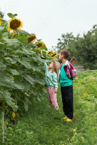 a child wearing a mint-colored sweater and a straw hat is trying to reach a sunflower with her hand, while another child stands nearby and watches
