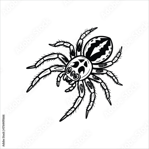 tarantula spider, creepy, haunting, dark, detailed, black and white, spooky, horror, vector art
