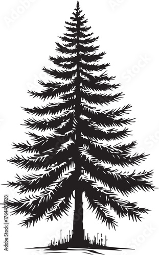 Black Silhouette Pine Tree Vector Illustration on White Background