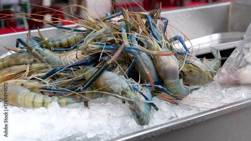 Close-up fresh Giant freshwater prawn in a blue basket