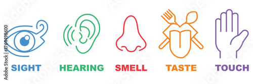 Human sense icons. Five human senses icons. Vision smell hearing touch taste senses filling, Vector illustration. Set of five human senses vector icons on white background. Vision, hearing, smell, tas