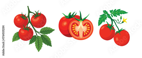 A collection of illustrations of bright red ripe tomatoes on vines, fresh produce.