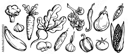 A set of doodles of various vegetables. Vector graphics.
