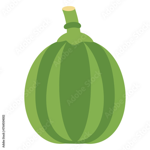 Round green vegetable with stripes and stem isolated on white background